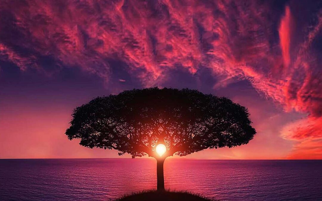 Energy Never Dies it Transmutes